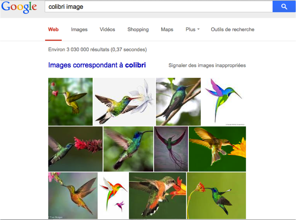 Google Colibri a été conçu pour analyser les requêtes à partir des synonymes, ainsi, on peut taper colibri photo et colibri image