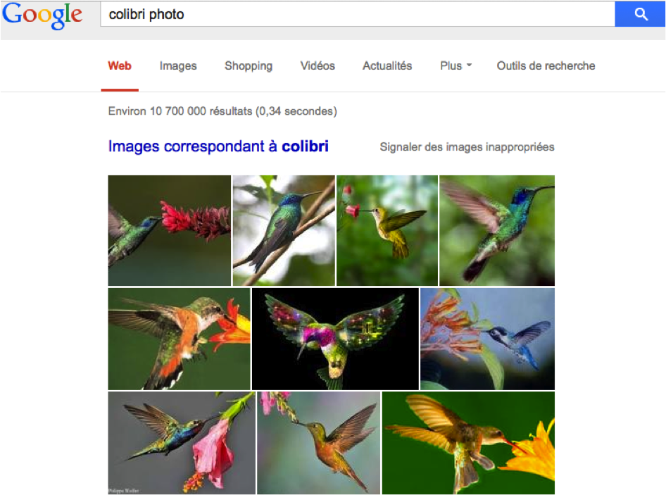 Google Colibri a été conçu pour analyser les requêtes à partir des synonymes, ainsi, on peut taper colibri photo et colibri image-2