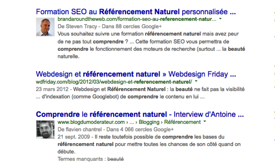 Google colibri référencement naturel beauté