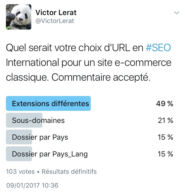 quel-serait-votre-choix-durl-en-seo-international-pour-un-site-e-commerce-classique